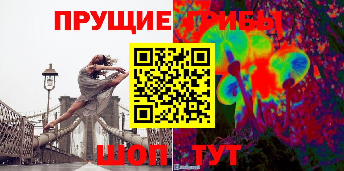 Псилоцибиновые грибы мицелий Чехов